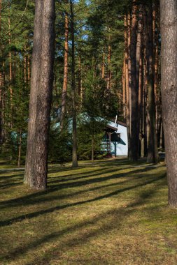 Sakin bir orman bölgesinde uzun çam ağaçlarıyla çevrili rahat bir ev. Ağaçların arasından parlayan güneş ışığı taş yolu ve yeşil çimenleri aydınlatır. Çevre yaşamı, tatil inzivaları ve kırsal kesim için ideal huzurlu ve rahatlatıcı bir atmosfer yaratır.
