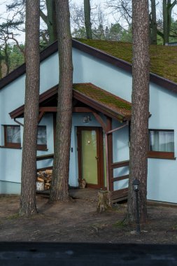 Güneş ışığında uzun çam ağaçlarıyla çevrili sıcacık orman evi