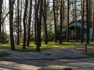 Sakin bir orman bölgesinde uzun çam ağaçlarıyla çevrili rahat bir ev. Ağaçların arasından parlayan güneş ışığı taş yolu ve yeşil çimenleri aydınlatır. Çevre yaşamı, tatil inzivaları ve kırsal kesim için ideal huzurlu ve rahatlatıcı bir atmosfer yaratır.