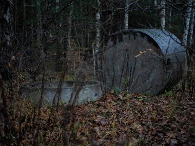 Sessiz bir ormanda kurumuş yaprak ve dalların arasında uzanan terk edilmiş beton yapılar çürümenin ve doğanın uzayı geri kazanmasının kasvetli bir manzarasını yaratıyor.