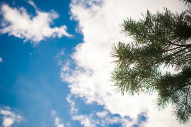 Gökyüzüne karşı çeki düzen vermek