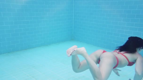 Brunetka Dziewczyna Pływa Niebieskim Basenie Pod Wodą — Wideo stockowe