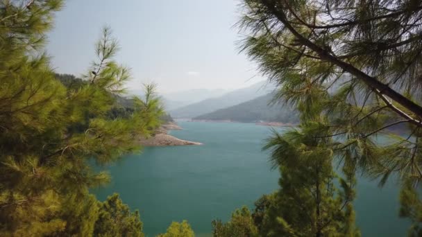 산악의 호수에 소나무가 청록색 있습니다 의풍경 소나무 — 비디오