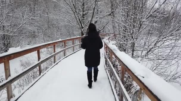 Menina Bonita Caminha Inverno Parque Com Copo Café Suas Mãos — Vídeo de Stock