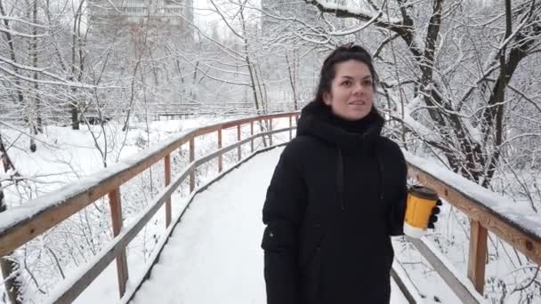 Menina Bonita Caminha Inverno Parque Com Copo Café Suas Mãos — Vídeo de Stock