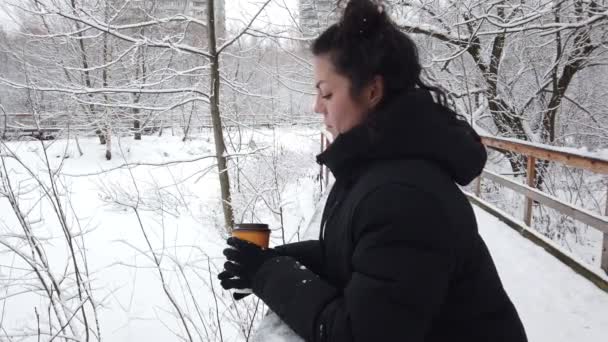 Belle Jeune Fille Promène Hiver Dans Parc Avec Verre Café — Video