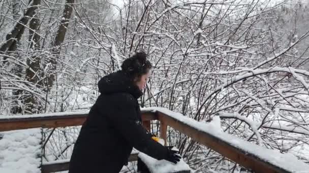 Güzel Genç Kız Elinde Bir Bardak Kahveyle Kışın Parkta Yürür — Stok video