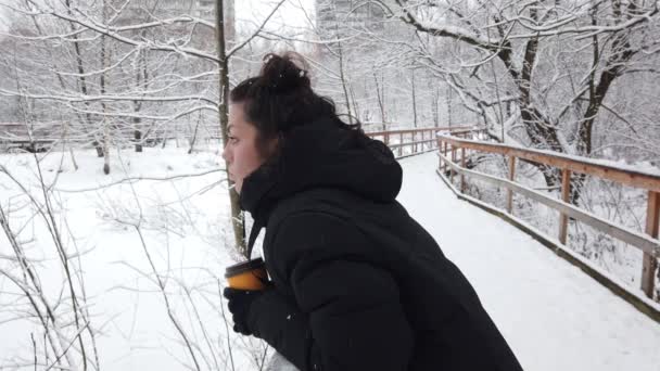 Bella Ragazza Cammina Inverno Nel Parco Con Bicchiere Caffè Mano — Video Stock