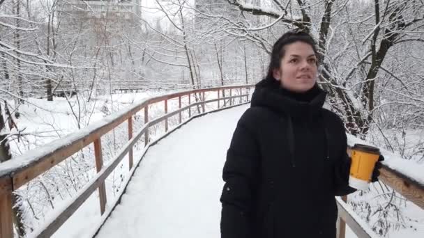 Menina Bonita Caminha Inverno Parque Com Copo Café Suas Mãos — Vídeo de Stock