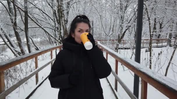 เด็กสาวที่สวยงามเดินในฤดูหนาวในสวนสาธารณะด้วยแก้วกาแฟในมือของเธอ — วีดีโอสต็อก