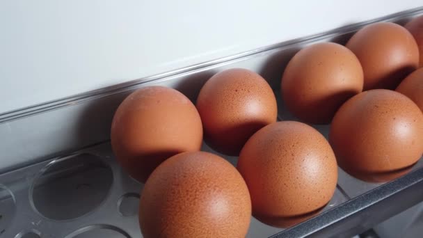 Hühnereier Großaufnahme Kühlschrank Ausgelegt — Stockvideo