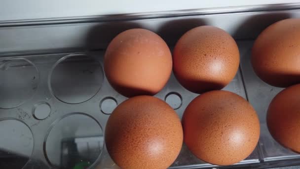 Yakın Plan Tavuk Yumurtaları Buzdolabına Bırakılmış — Stok video