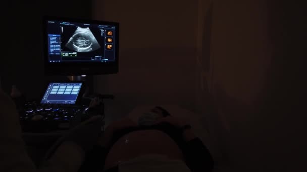 Lekarz Przeprowadza Sesję Ultradźwiękową Ciężarną Dziewczyną — Wideo stockowe