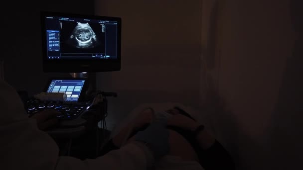 Arzt Führt Eine Ultraschalluntersuchung Mit Einem Schwangeren Mädchen Durch — Stockvideo