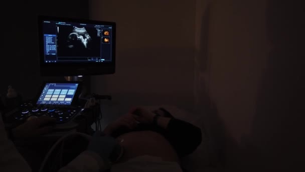 Docteur Fait Une Échographie Avec Une Fille Enceinte — Video