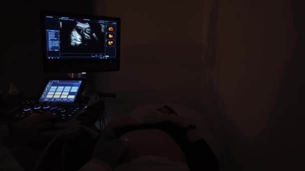 Doctor Performing Ultrasound Session Pregnant Girl — Stock Video
