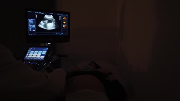 Doktorn Gör Ett Ultraljud Med Gravid Flicka — Stockvideo