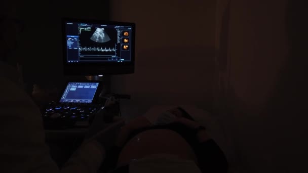 Doctor Performing Ultrasound Session Pregnant Girl — Stock Video