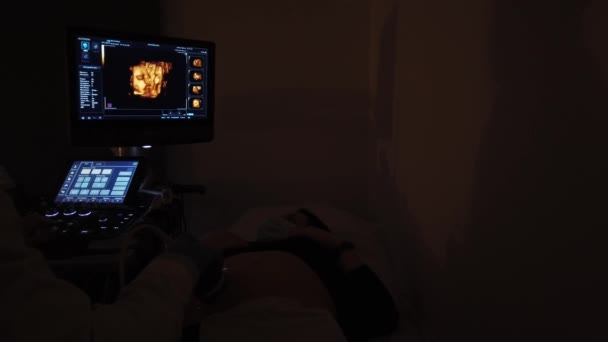 Arzt Führt Eine Ultraschalluntersuchung Mit Einem Schwangeren Mädchen Durch — Stockvideo