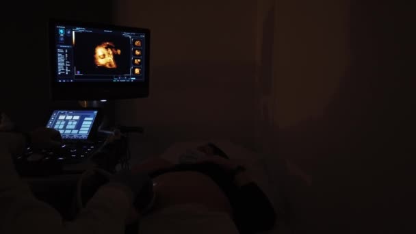 Docteur Fait Une Échographie Avec Une Fille Enceinte — Video