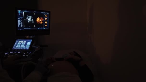 医者は妊娠中の女の子と超音波セッションを実行しています — ストック動画