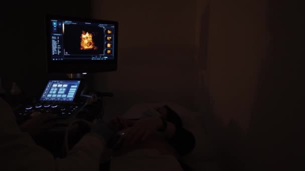 Docteur Fait Une Échographie Avec Une Fille Enceinte — Video