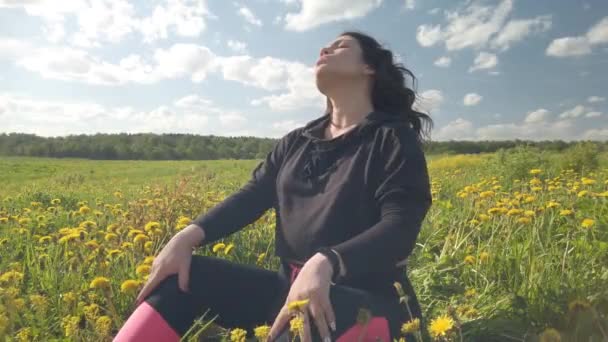 少女は春の牧草地に座って 花のタンポポで生い茂っています 女性の肖像画は フィールド内の黄色の花タンポポの花束を選択します — ストック動画