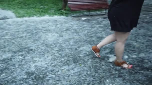 Blisko Nogi Dziewczyny Która Chodzi Asfalcie Gdzie Topoli Puch Nagromadził — Wideo stockowe