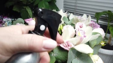 Bir buket çiçek sprey tabancadan fışkıran bir su ile tazelenir.