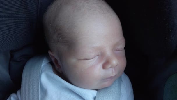 Close Newborn Baby Boy Sleeping Child Car Seat — Stock Video