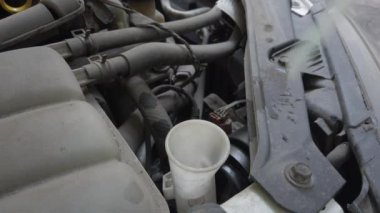 Bulaşık makinesine cam bardakları için çamaşır deterjanı döküyorum..