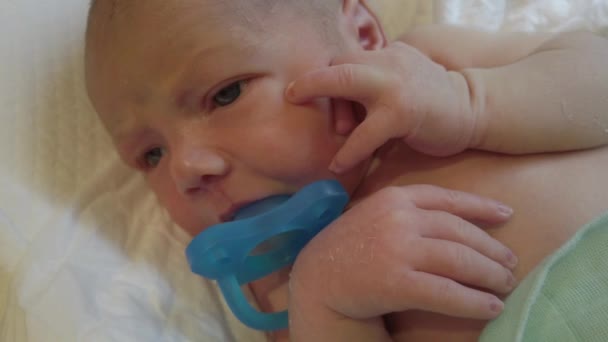 男婴躺在婴儿舱新生儿茧中 婴儿睡眠安全 — 图库视频影像