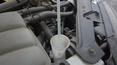 Bulaşık makinesine cam bardakları için çamaşır deterjanı döküyorum..