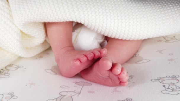 Новорожденный Ребенок Маленькие Ноги — стоковое видео