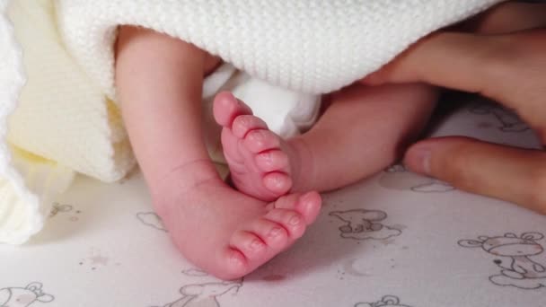 Neugeborenes Baby Und Kleine Füße — Stockvideo