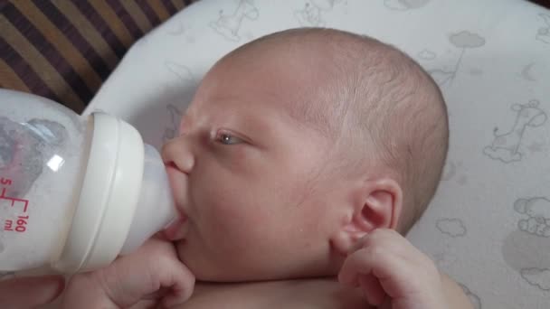 Close Seorang Anak Makan Dari Botol Ayah Memberi Makan Bayi — Stok Video