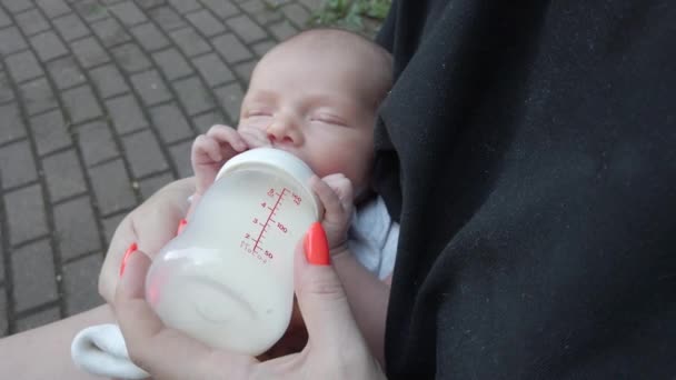 Mãe Que Alimenta Bebê Parque Com Leite Materno Com Mamadeira — Vídeo de Stock