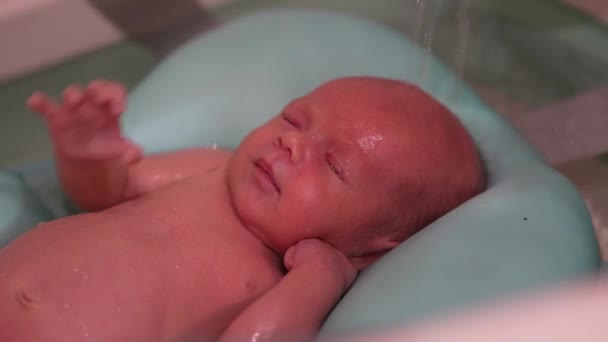 Bebé Recién Nacido Tomando Baño Bebé Recién Nacido Hora Del — Vídeos de Stock