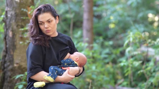 Женщина кормит грудью своего маленького сына во время отдыха в лесу. — стоковое видео