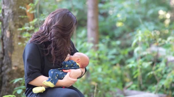 Egy nő szoptatja a kisfiát, miközben az erdőben pihen.. — Stock videók