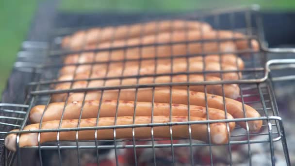 Cuisson Barbecue Sur Gril Extérieur Saucisses Juteuses Savoureuses Sur Gril — Video