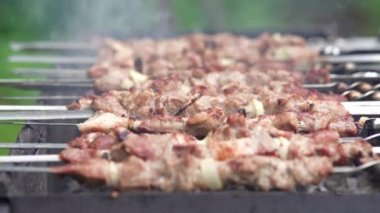 Şiş ızgara şiş kebap. Izgarada pişirilmiş domuz eti..