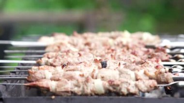 Şiş ızgara şiş kebap. Izgarada pişirilmiş domuz eti..