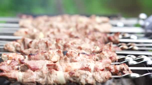 Kebab Shish Grelhado Espeto Carne Porco Assada Cozida Churrasco — Vídeo de Stock