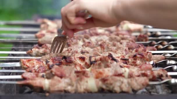 Kebab Shish Parrilla Pincho Carne Cerdo Asada Cocida Barbacoa — Vídeos de Stock