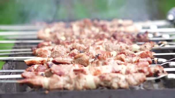 串焼きに魚のケバブ バーベキューで調理されたローストポーク肉 — ストック動画