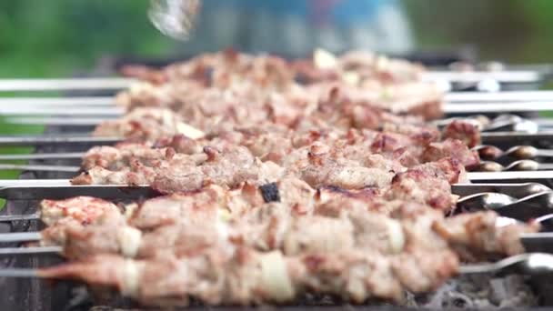 Grilled Shish Kebab Skewer Roasted Pork Meat Cooked Barbecue — Stock Video