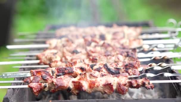 Kebab Shish Grelhado Espeto Carne Porco Assada Cozida Churrasco — Vídeo de Stock