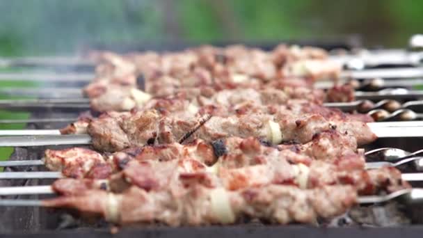 Grillezett Shish Kebab Nyárson Pörkölt Sertéshús Barbecue Főzve — Stock videók