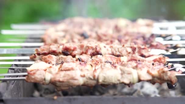Kebab Shish Grelhado Espeto Carne Porco Assada Cozida Churrasco — Vídeo de Stock